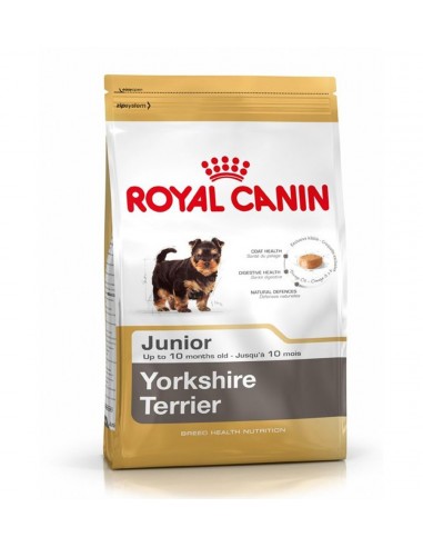 ROYAL CANIN Briketi za štenad Yorkshire Terrier JUNIOR, 500gr