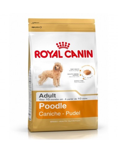 ROYAL CANIN Briketi za pse Poodle Adult, 500g