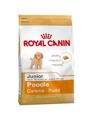 Royal Canin Briketi za štenad Poodle junior, 500gr