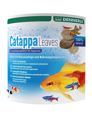 Dennerle Catappa Leaves Large za 800l, 10pcs