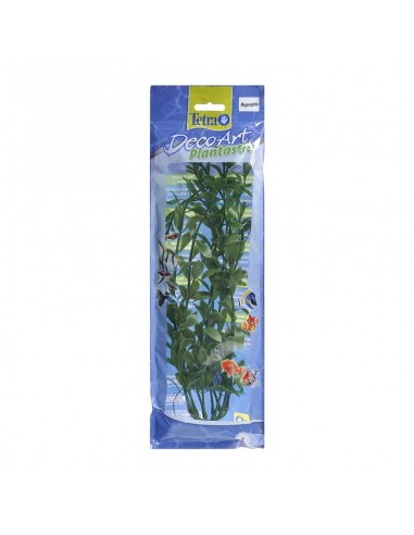 Tetra Plants 30cm Hygrophila L
