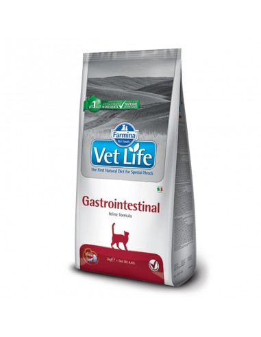 Vet Life Cat Gastrointestinal 400gr