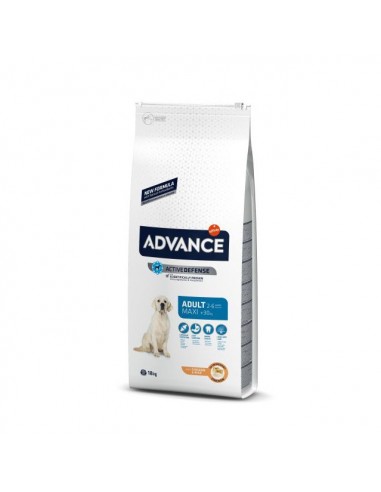Advance Dog Maxi Adult Piletina / kg