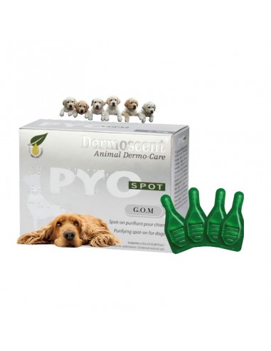 Dermoscent PYO Spot on For Dogs 10-20kg