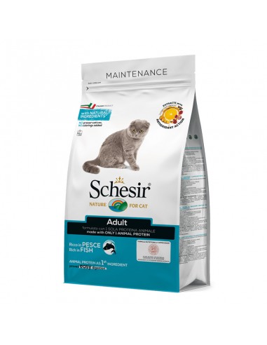 Schesir Dry Cat Riba / kg